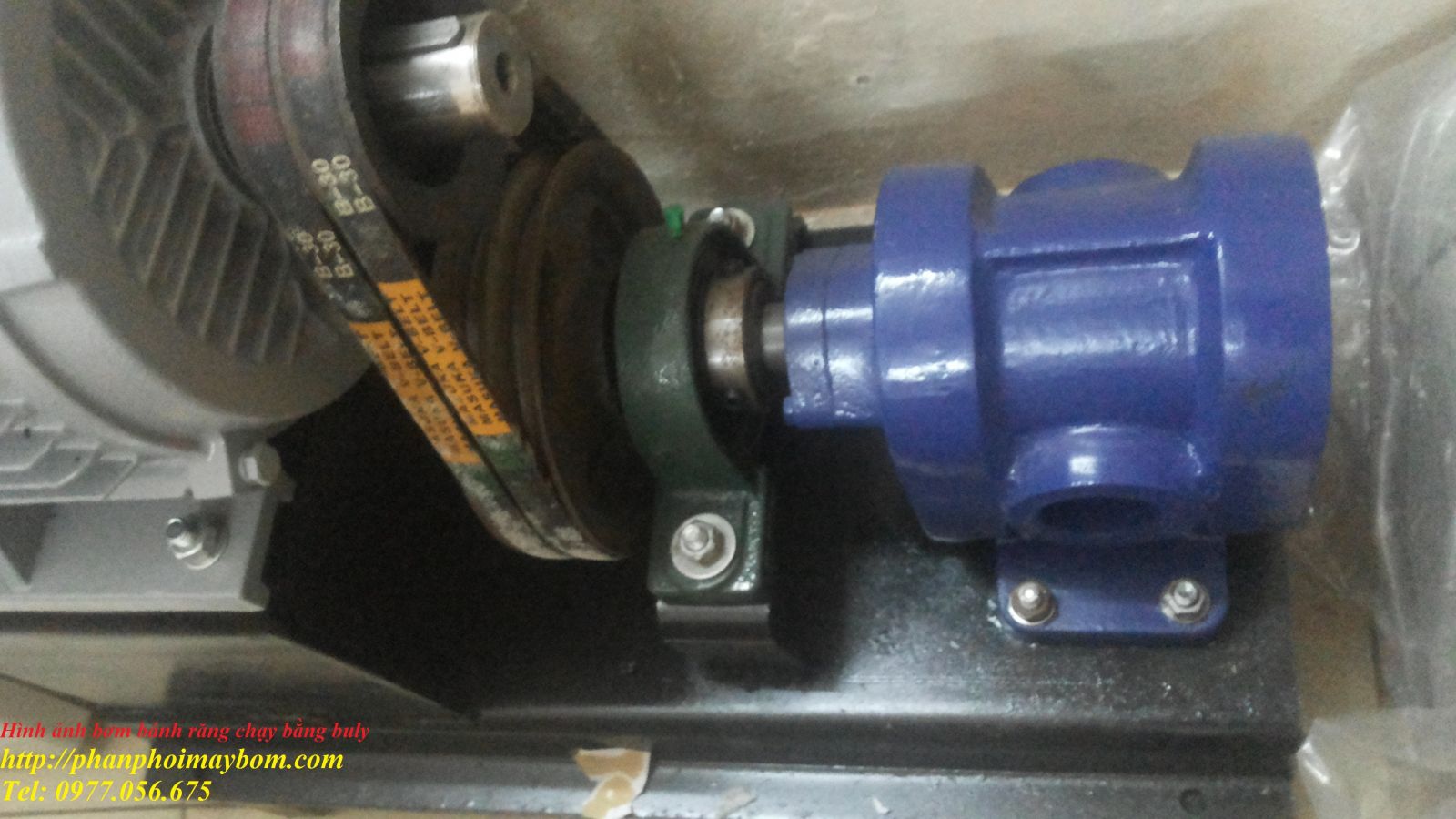 Hình ảnh bơm bánh răng 2CY lắp dây curoa