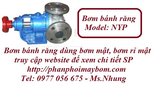 hình ảnh bơm bánh răng NYP, bơm rỉ mật, bơm mía đường
