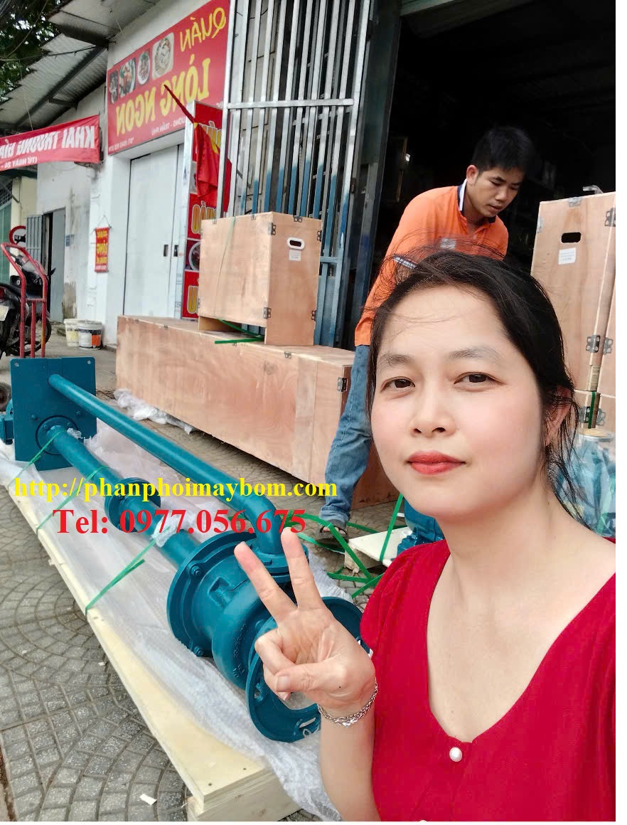 Máy Bơm trục đứng 50YW30-30-7.5