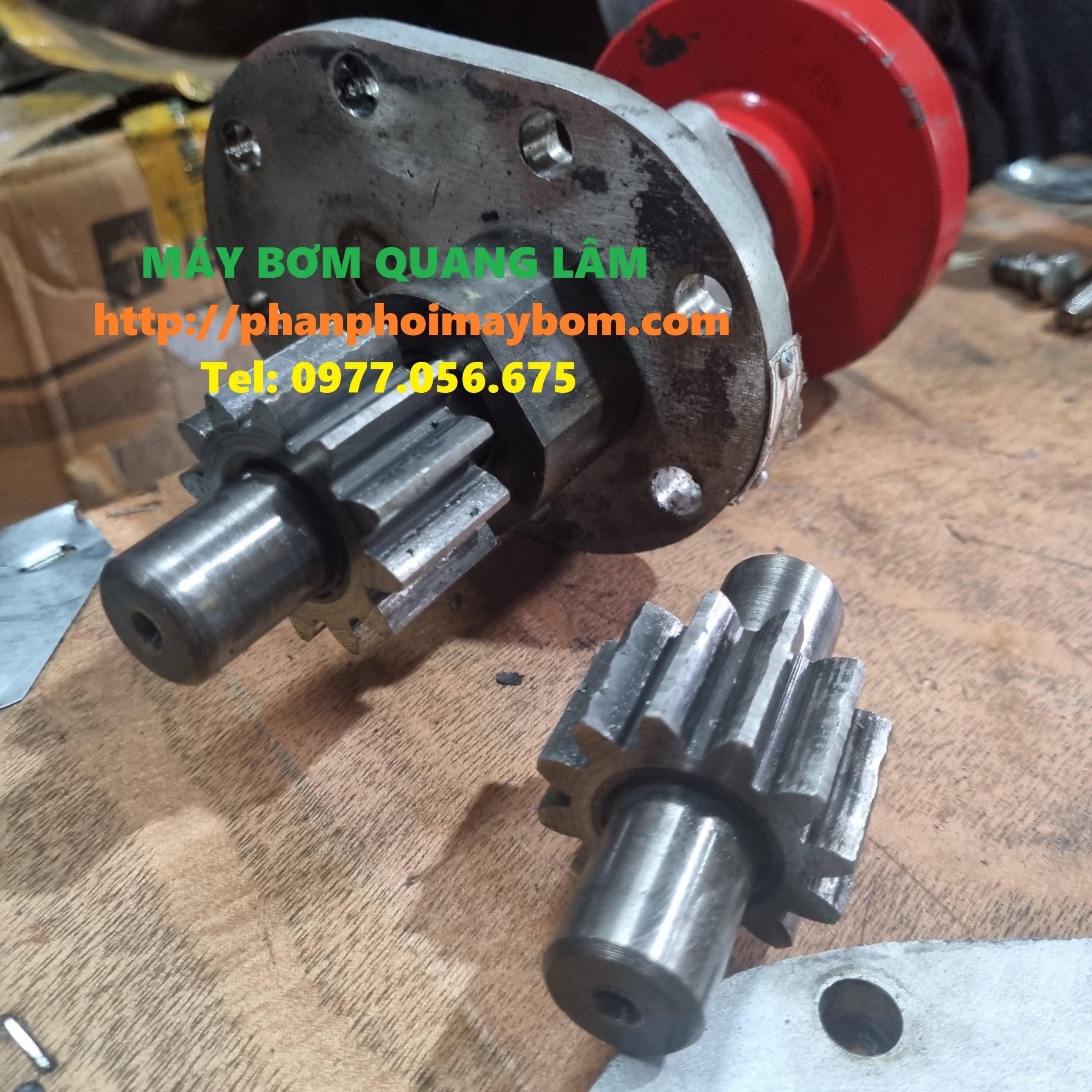 Hình ảnh bánh răng trong -Cấu tạo bên trong của bơm bánh răng 2CY