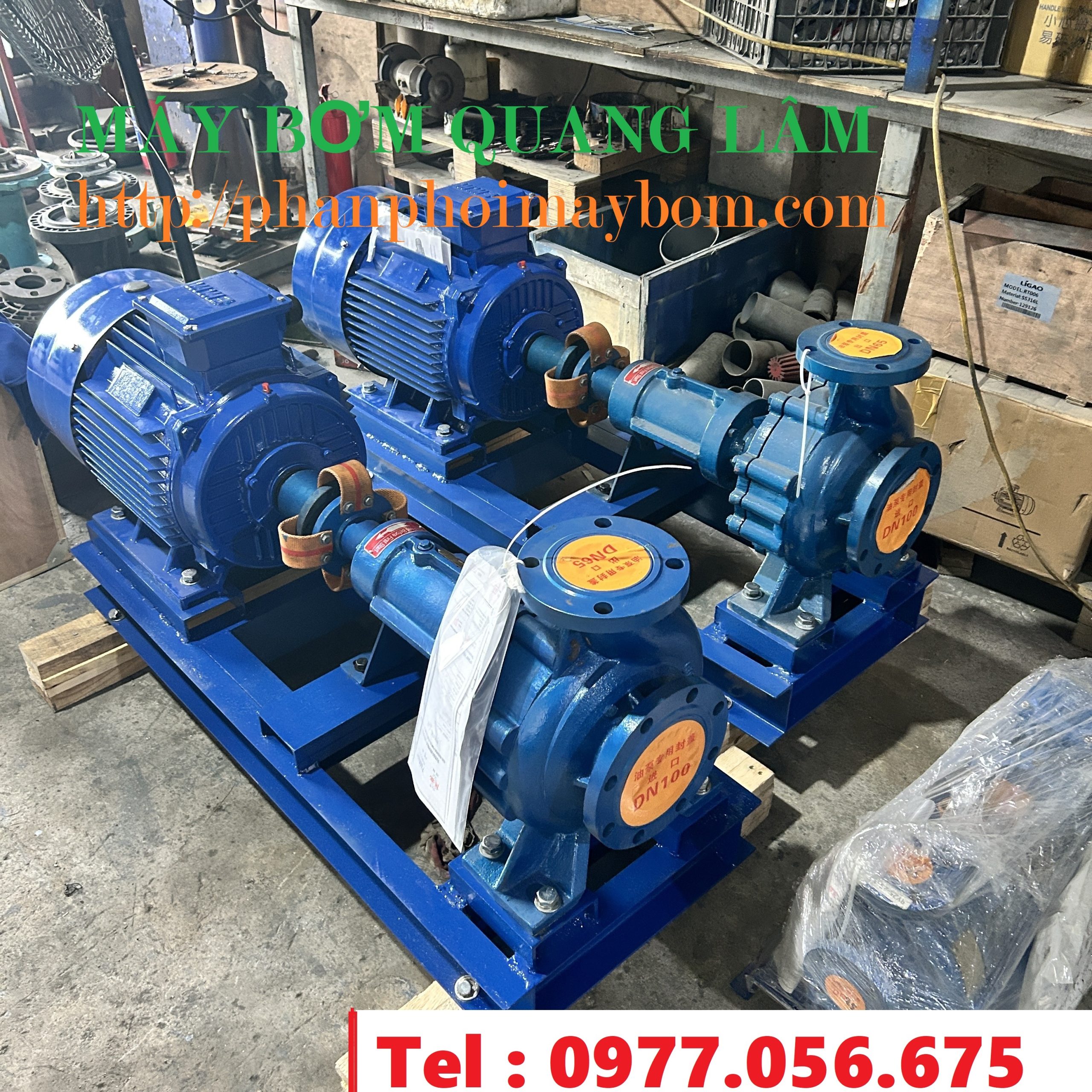 Máy bơm RY100-65-200