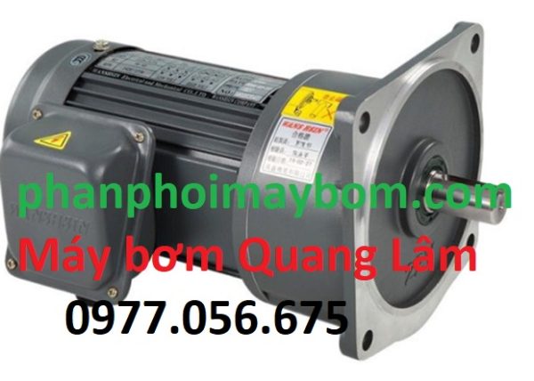 Mô tơ giảm tốc model CV22-200